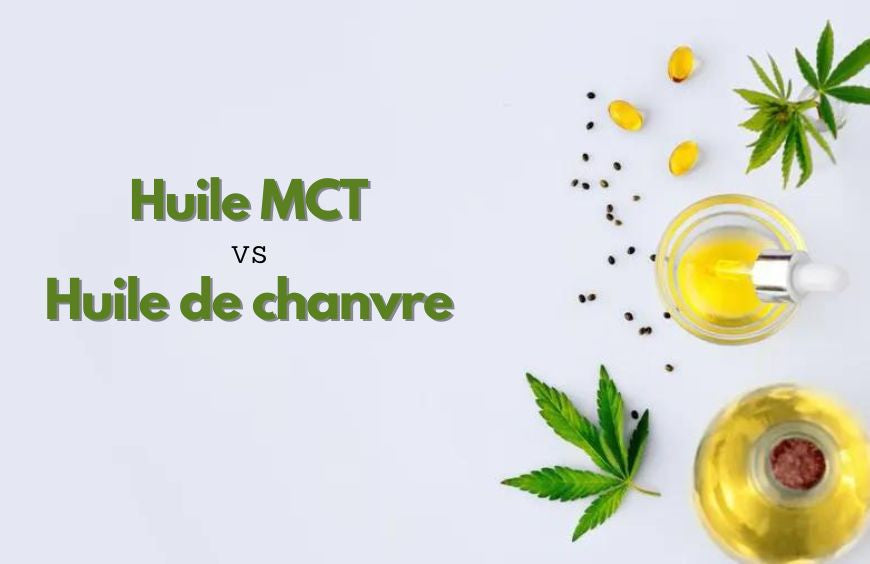 Huile MCT vs huile de chanvre : laquelle est la meilleure ?