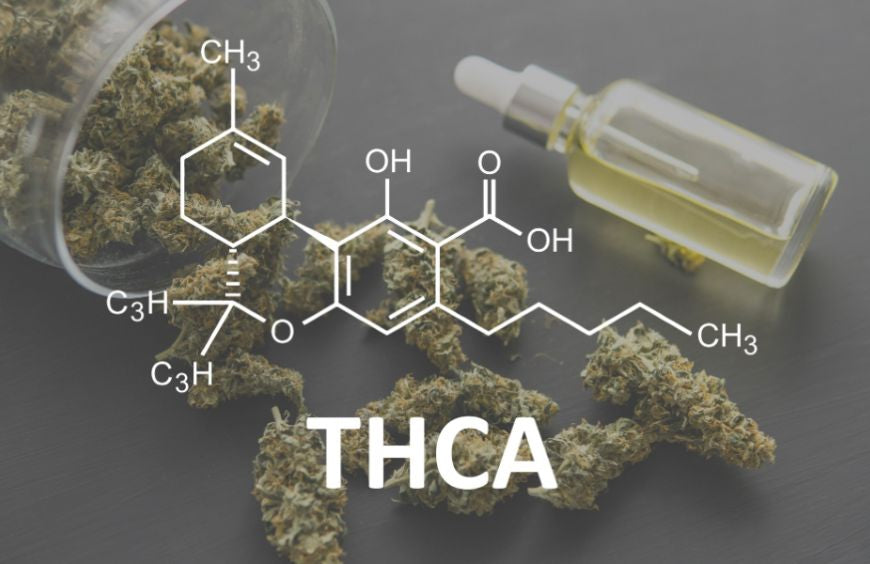 Qu'est-ce que le THCA ?