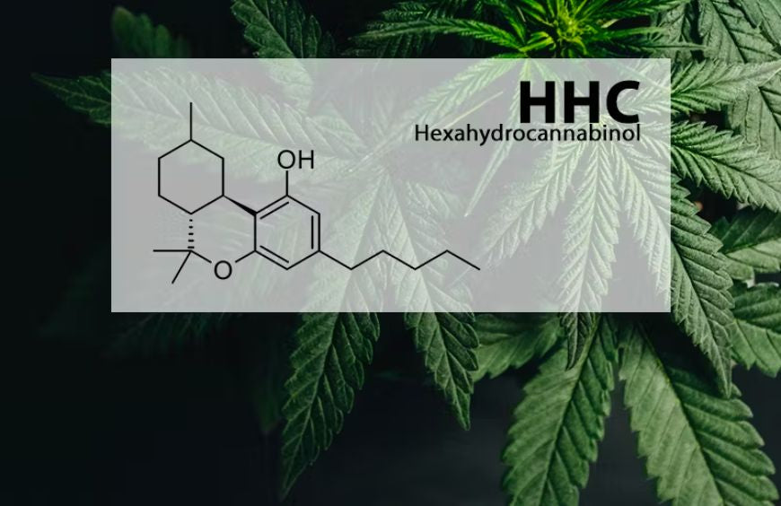 Le HHC peut-il tre dtect par les tests de dpistage de drogue ? Le HHC peut-il tre dtect par les tests de dpistage de drogue ?