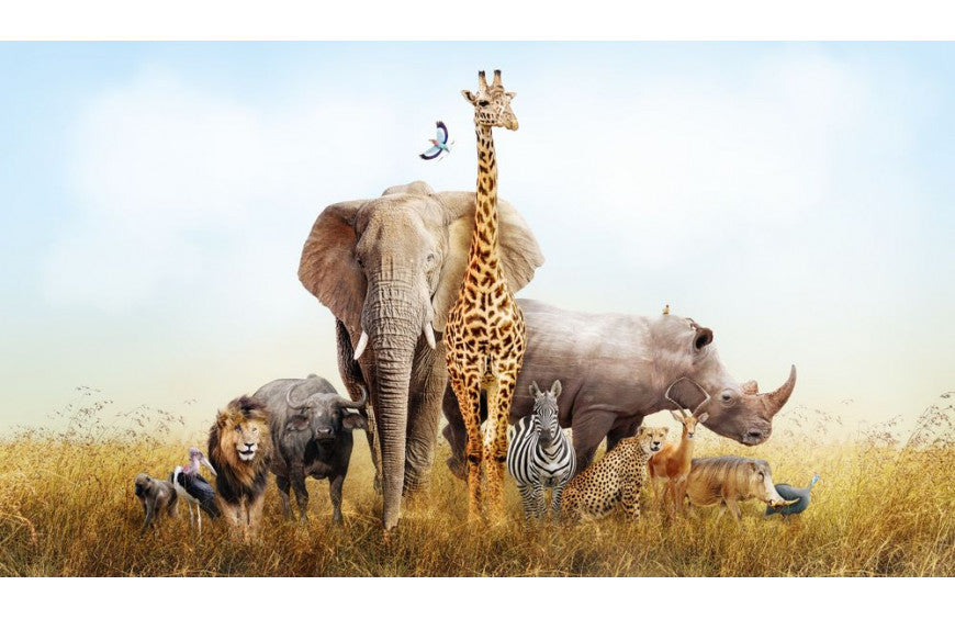 Un parc animalier utilise du CBD !