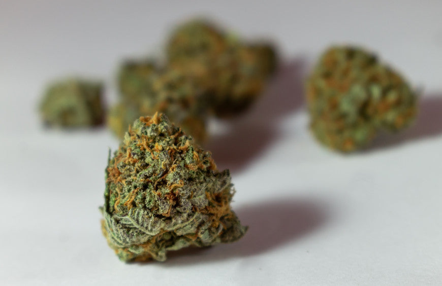 Comment choisir des fleurs de CBD de qualité ?