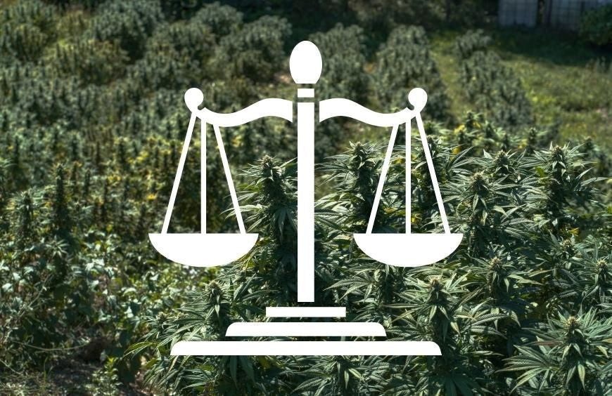 Le CBD dans les principaux pays : légal ou pas légal ?