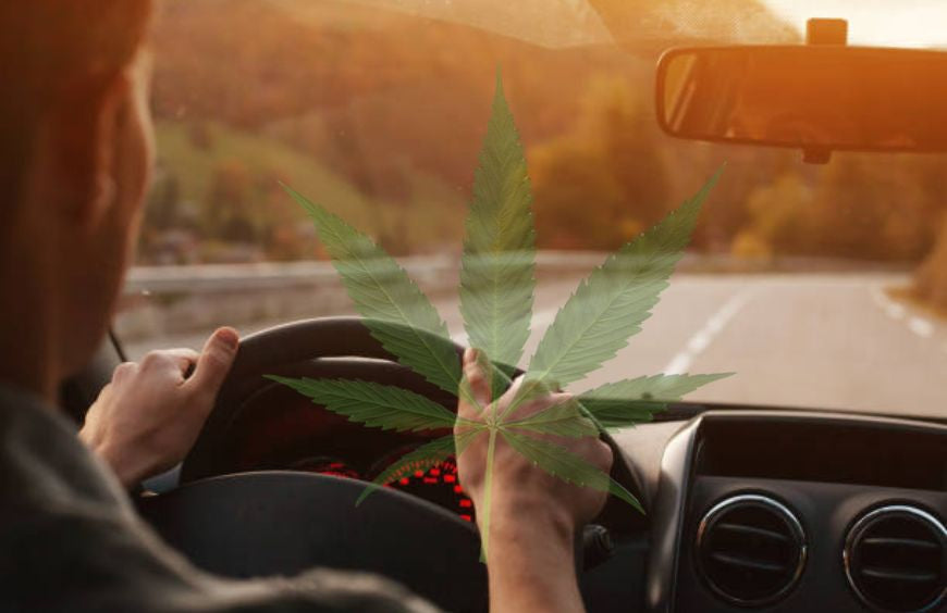 Peut-on conduire après avoir pris du CBD ?