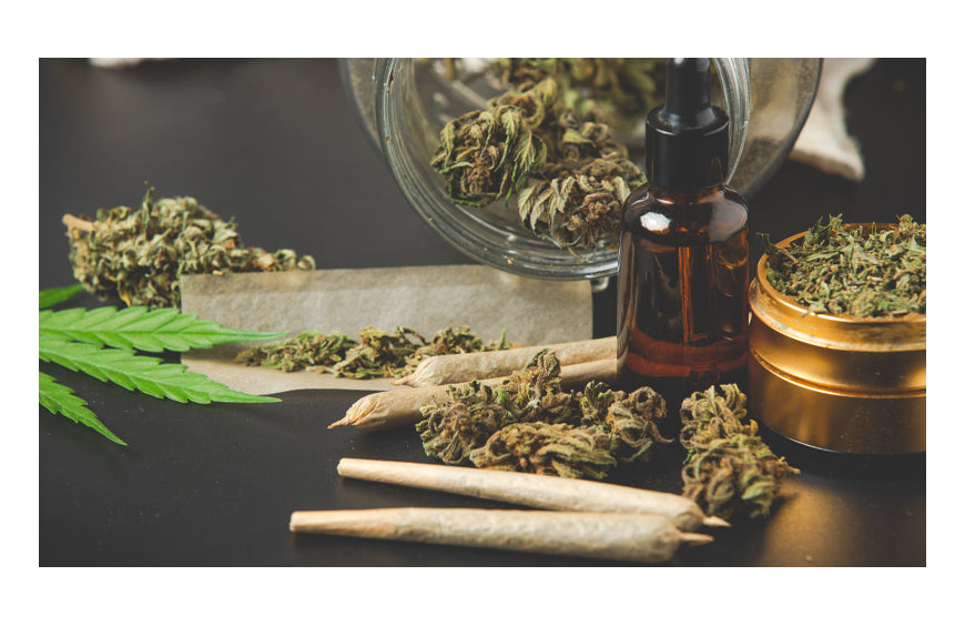 CBD: cunto tarda en salir del cuerpo? CBD: cunto tarda en salir del cuerpo?