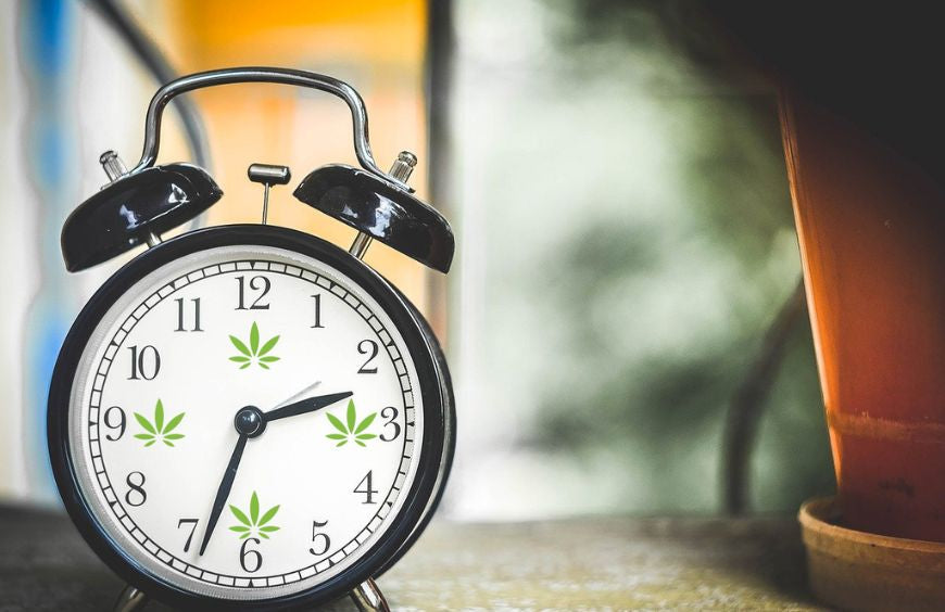 Quel est le meilleur moment pour prendre du CBD ?