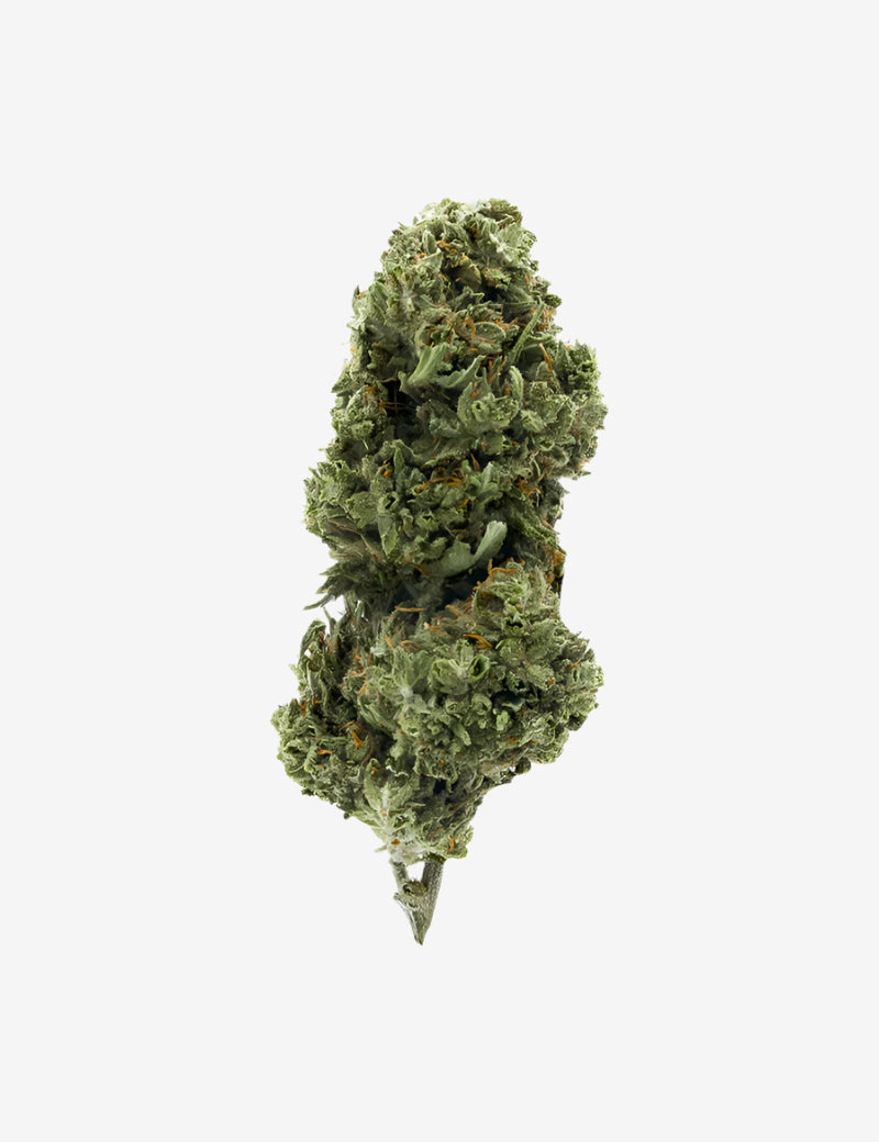 Super Skunk CBD Fleur CBD intense | High Society Super Skunk CBD Fleur CBD intense | High Society