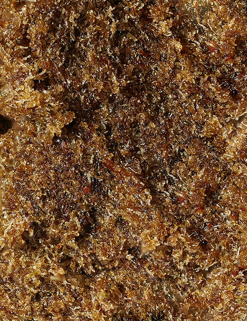 Résine Amnesia Cream CBD