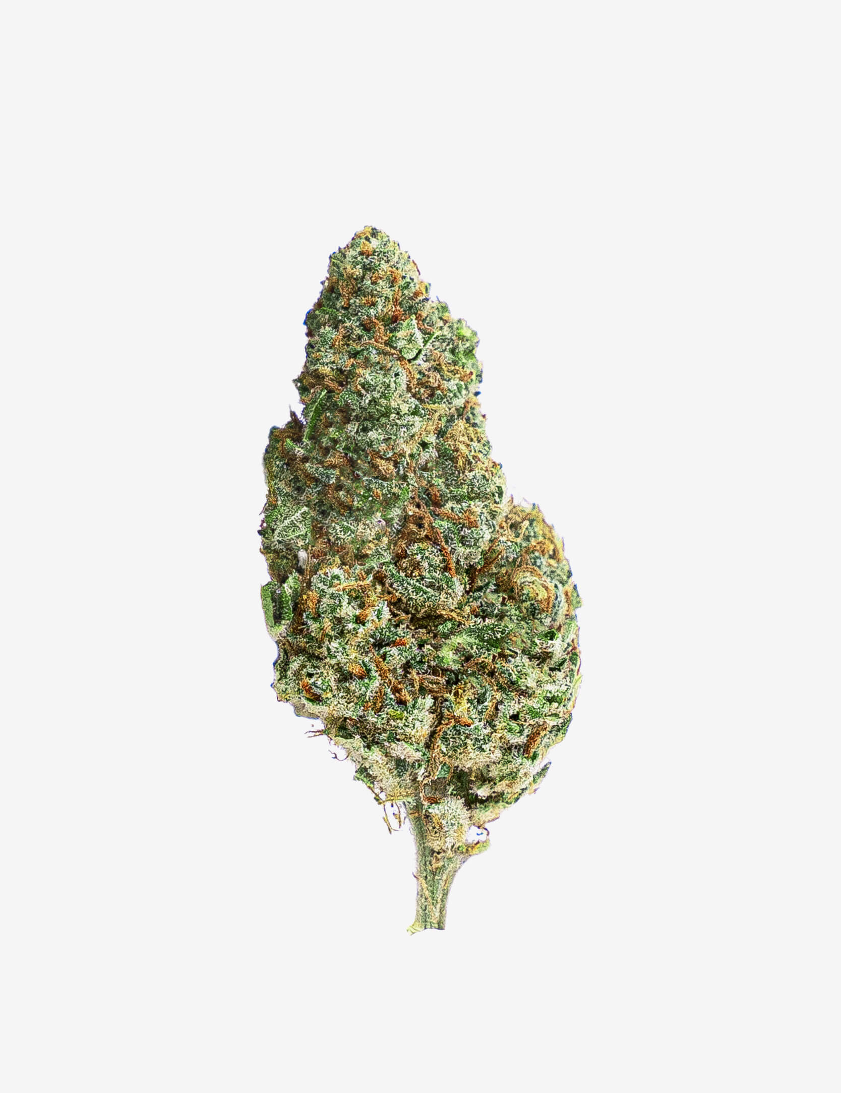Amnesia Haze CBD Fleur indoor premium Amnesia Haze CBD Fleur indoor premium