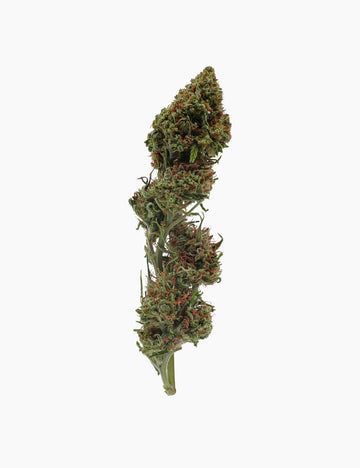 Cannatonic CBD