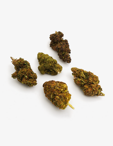 Pack Découverte Fleurs CBD