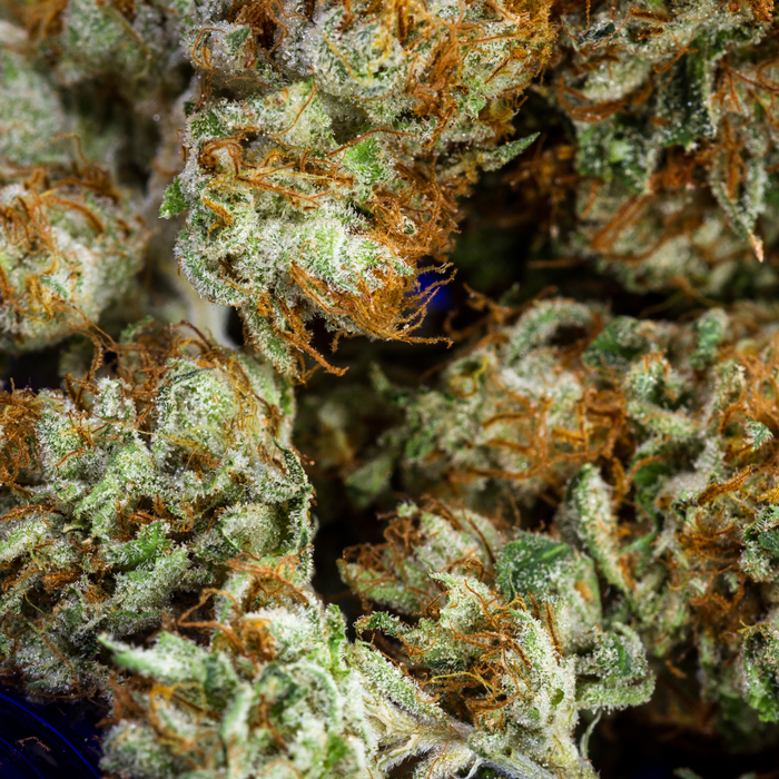 Les récepteurs cannabinoïdes : rôle et fonctionnement