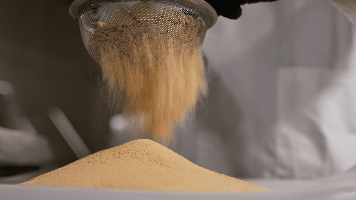 tamisage à sec du hash