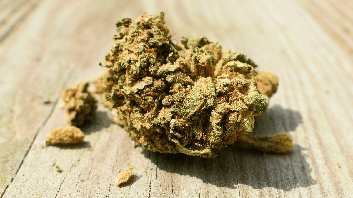 saveurs des fleurs de CBD
