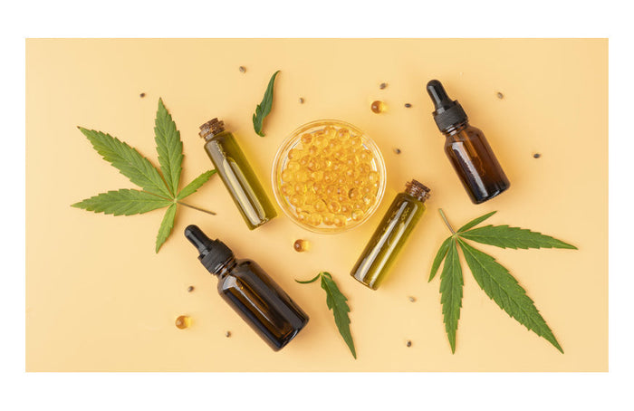 Tudo o que há para saber sobre o cânhamo