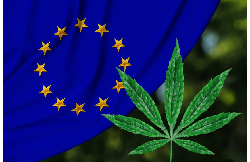 Produção de cânhamo na Europa: a França continua em primeiro lugar!