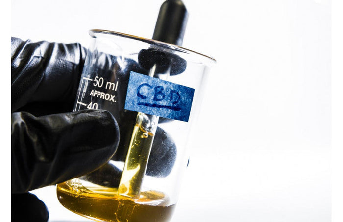 Qu’est ce que l’huile de CBD ?