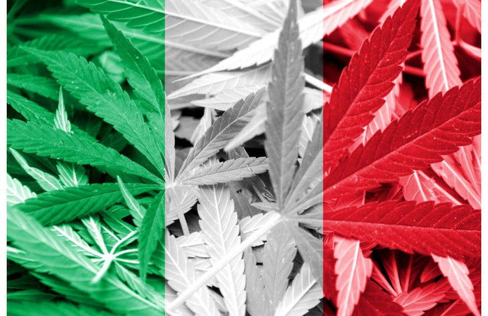 Italie : les fleurs de CBD ont fait baisser les ventes de sédatifs et d’antidépresseurs