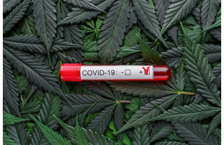 Coronavirus: Los estadounidenses recurren al CBD para controlar su estrés