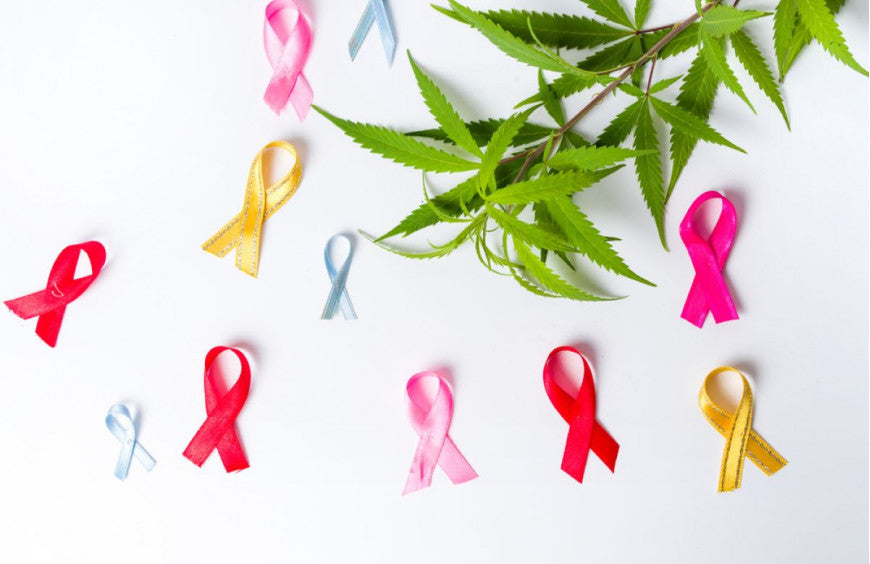 1/3 der kanadischen Krebspatienten konsumieren Cannabis