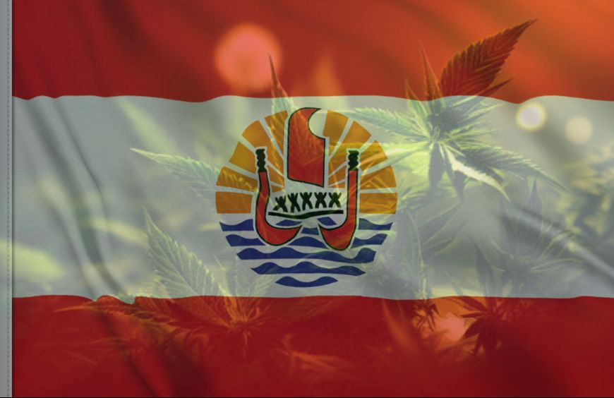 E se a Polinésia abrisse caminho para que a França legalizasse a cannabis?