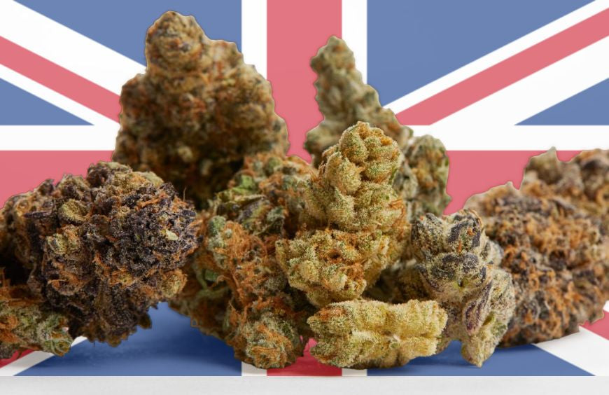 As flores de CBD já não são consideradas estupefacientes no Reino Unido!