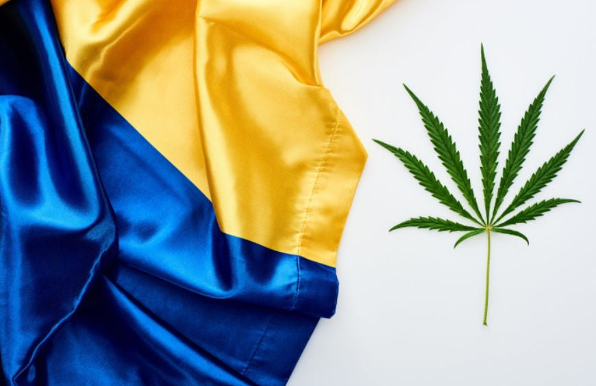 Le président Ukrénien en faveur du cannabis médical