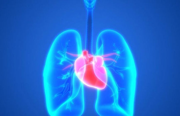 Hypertension pulmonaire : vers une solution au CBD ?