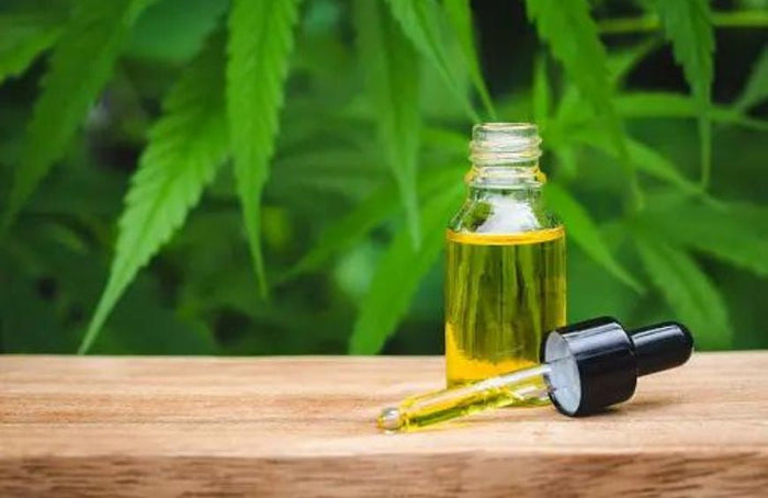 9 coisas que deve saber para conservar o seu óleo de CBD por mais tempo