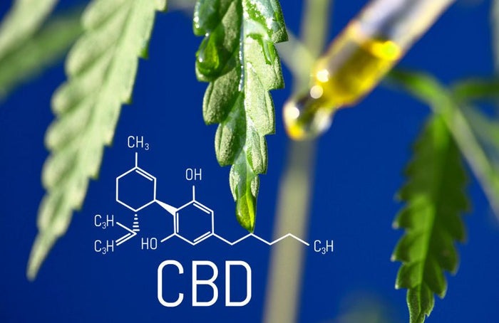L'importance de trouver le bon dosage de CBD