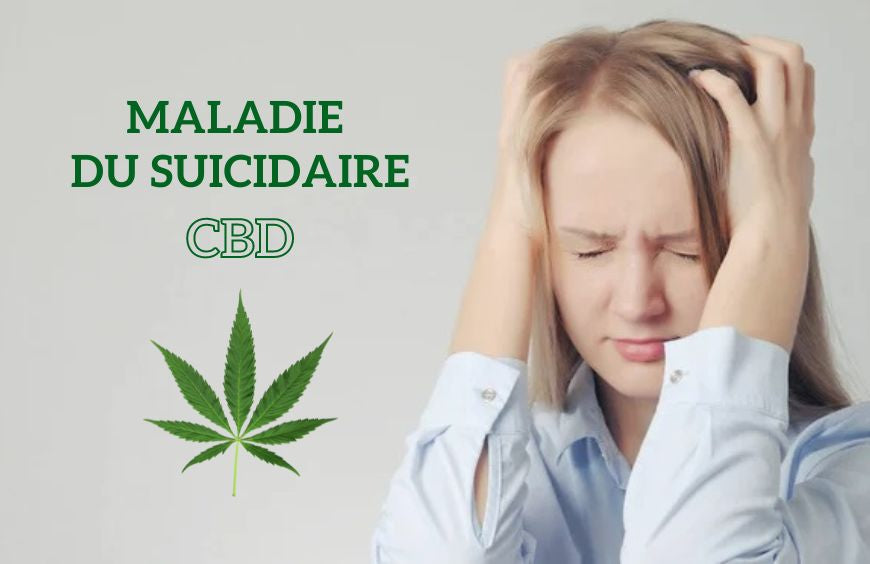La maladie du suicidaire : le CBD pourrait-il soulager les douleurs ?