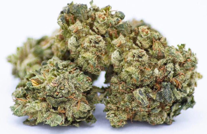 Pourquoi le prix des fleurs de CBD varie autant ?