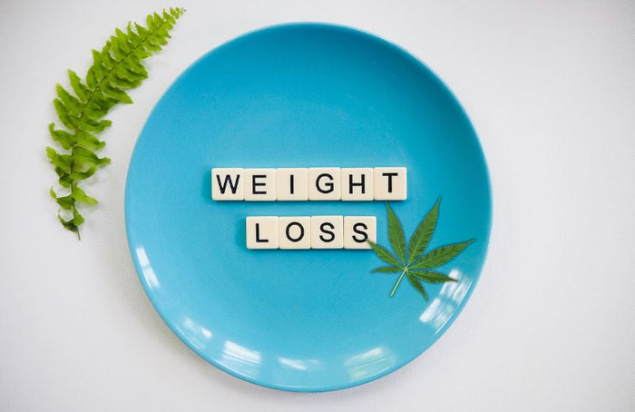 Por que é que o CBD ajudaria a perder peso naturalmente?