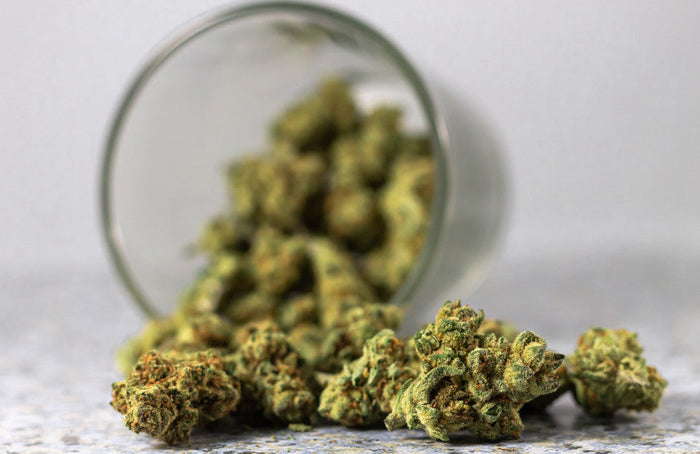 Tout ce qu’il faut savoir sur le THCP