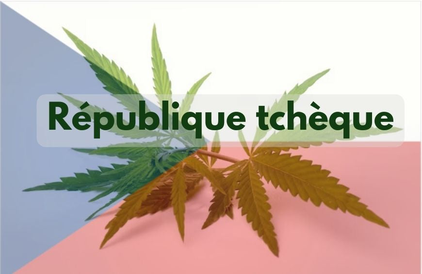 A República Checa avança para a legalização da cannabis