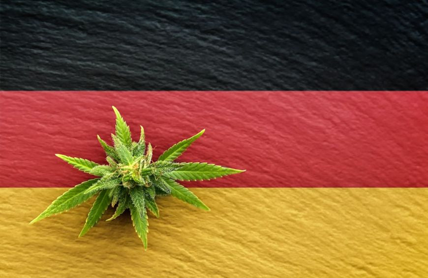 A Alemanha revê as suas expectativas quanto à legalização da cannabis
