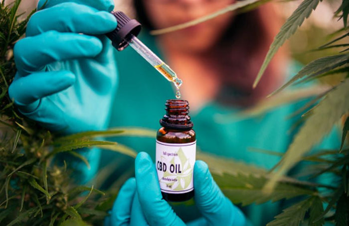 Que dosagem de CBD escolher de acordo com as necessidades?