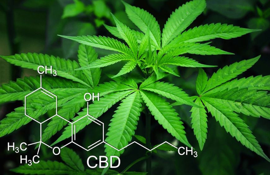 O CBD é uma droga?