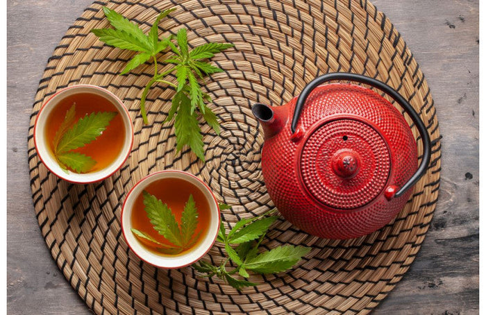 Tutoriel : comment faire du thé au CBD ?