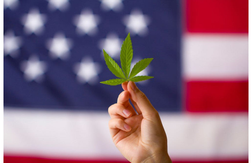 EUA: o limite de THC do cânhamo foi aumentado para 1% no Minnesota