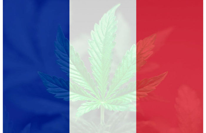 Du cannabis médical produit en France
