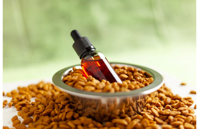 Óleo de CBD para animais: efeitos e dosagens