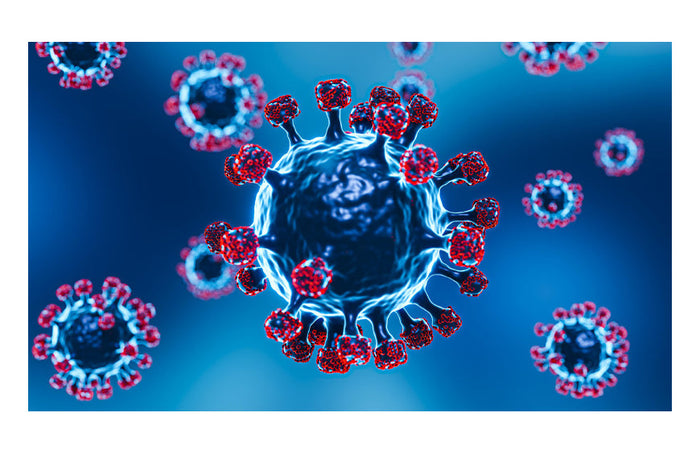 CBD e COVID: a solução milagrosa para reduzir a inflamação e a ansiedade?