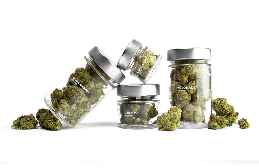 As 6 variedades de flores de CBD mais vendidas do ano