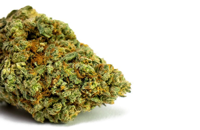 D'où vient l’odeur de Skunk caractéristique du cannabis ?