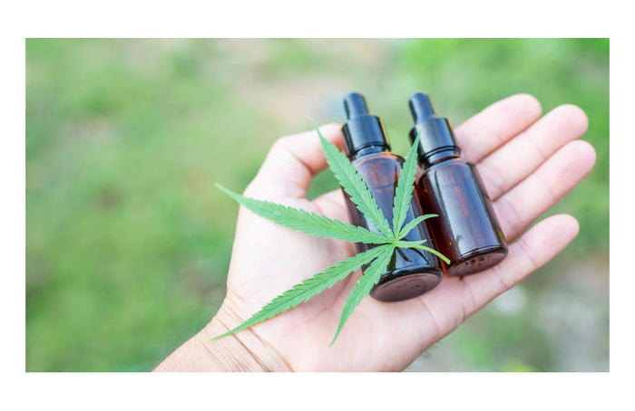 ¿Cómo se hace el aceite de CBD con cristales?