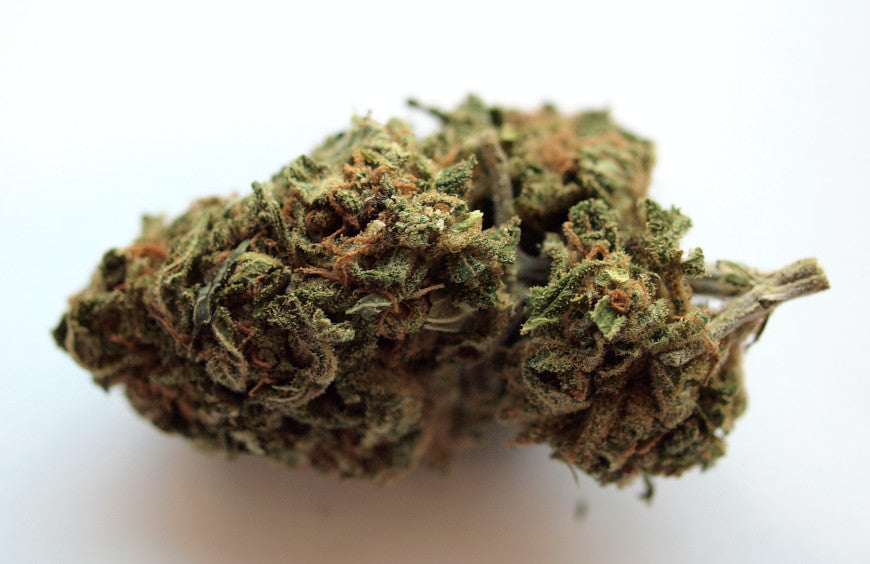 O Conselho de Estado pronuncia-se a favor do CBD