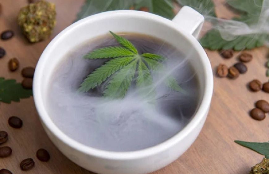 Como preparar uma infusão de CBD?