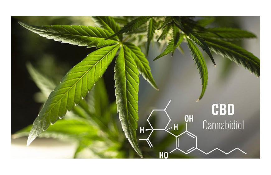 Como funcionam os vaporizadores de CBD por condução e quais são as suas vantagens?