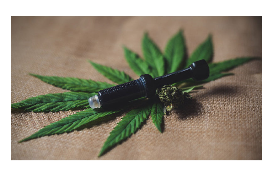 O reembolso do CBD pela Segurança Social: um sonho ainda distante?