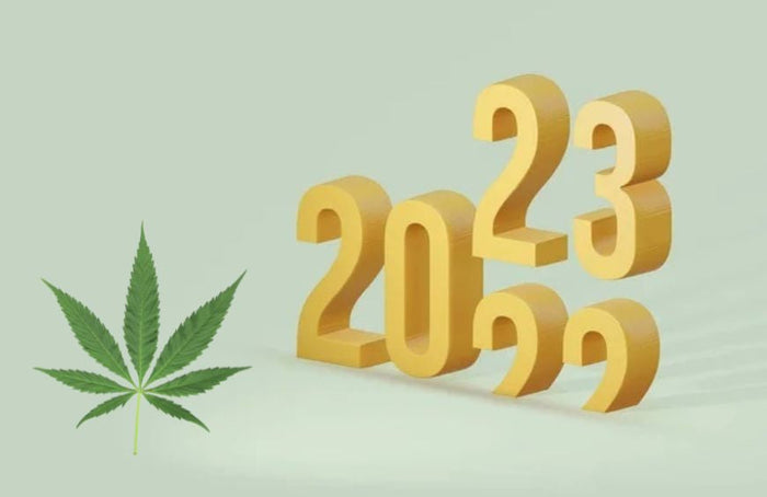 Et si nous avions la solution pour vous aider à tenir vos bonnes résolutions ?